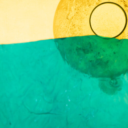 Sea Roller - Timothy Chambers